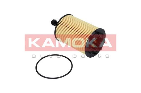 Obrázok Olejový filter KAMOKA  F100901
