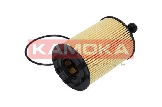 Obrázok Olejový filter KAMOKA  F100901