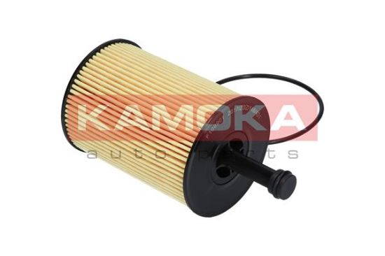 Obrázok Olejový filter KAMOKA  F100901