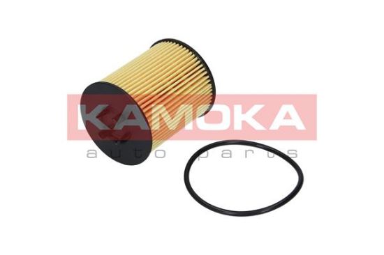 Obrázok Olejový filter KAMOKA  F105601