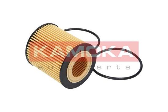 Obrázok Olejový filter KAMOKA  F107501