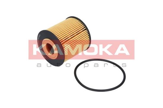 Obrázok Olejový filter KAMOKA  F107801