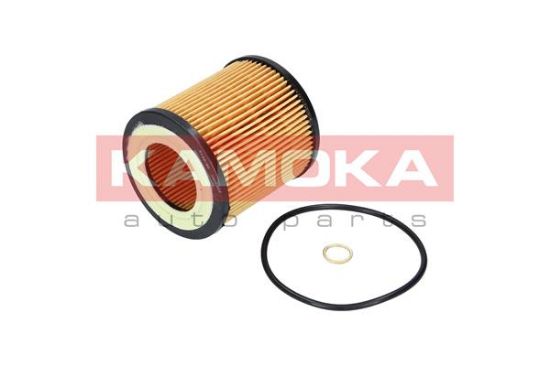 Obrázok Olejový filter KAMOKA  F109701