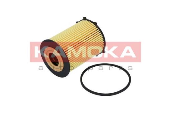 Obrázok Olejový filter KAMOKA  F110401