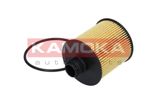 Obrázok Olejový filter KAMOKA  F111801