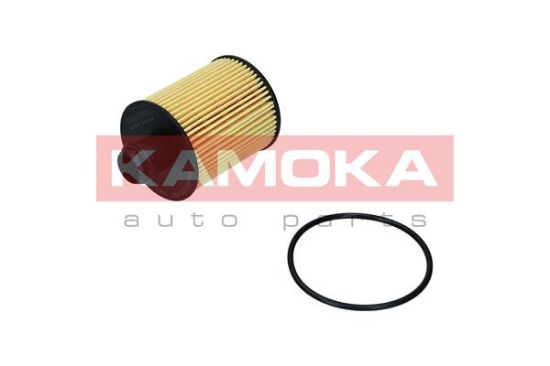 Obrázok Olejový filter KAMOKA  F116801