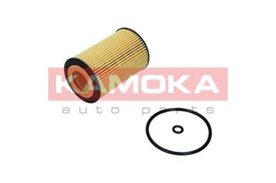 Obrázok Olejový filter KAMOKA  F117601
