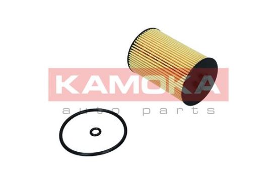 Obrázok Olejový filter KAMOKA  F117601