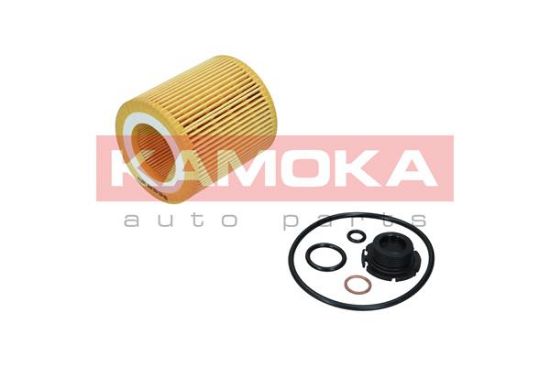 Obrázok Olejový filter KAMOKA  F119801