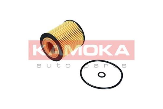 Obrázok Olejový filter KAMOKA  F120101