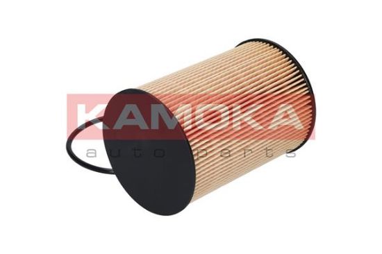 Obrázok Palivový filter KAMOKA  F307801