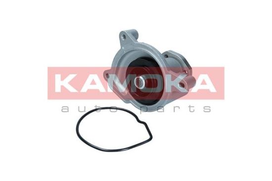 Obrázok Vodné čerpadlo, chladenie motora KAMOKA  T0021