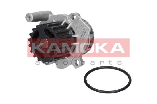 Obrázok Vodné čerpadlo, chladenie motora KAMOKA  T0023