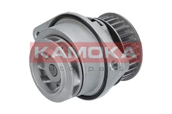 Obrázok Vodné čerpadlo, chladenie motora KAMOKA  T0024