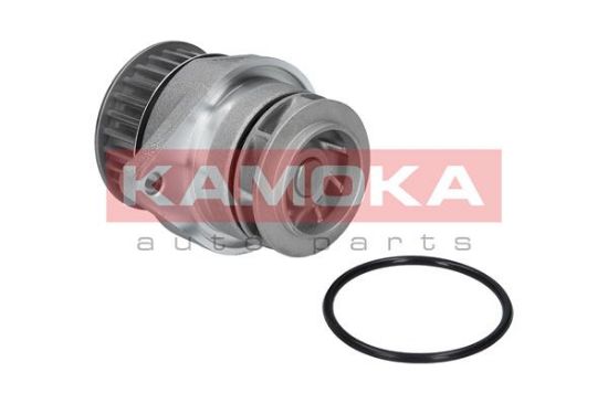 Obrázok Vodné čerpadlo, chladenie motora KAMOKA  T0026