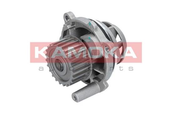 Obrázok Vodné čerpadlo, chladenie motora KAMOKA  T0028