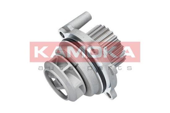 Obrázok Vodné čerpadlo, chladenie motora KAMOKA  T0029