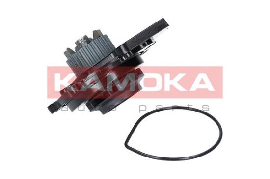 Obrázok Vodné čerpadlo, chladenie motora KAMOKA  T0031