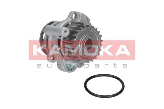 Obrázok Vodné čerpadlo, chladenie motora KAMOKA  T0033