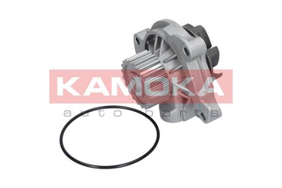 Obrázok Vodné čerpadlo, chladenie motora KAMOKA  T0042