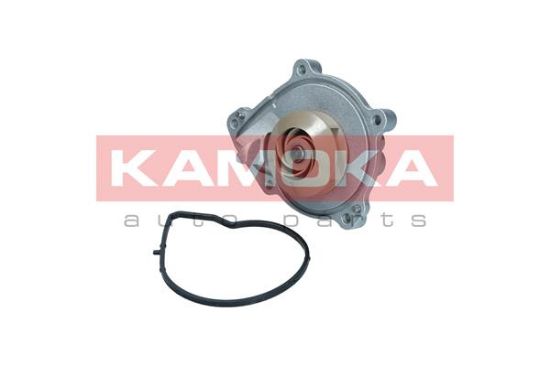 Obrázok Vodné čerpadlo, chladenie motora KAMOKA  T0050