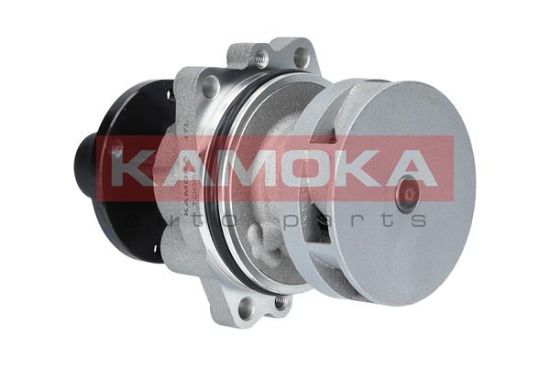 Obrázok Vodné čerpadlo, chladenie motora KAMOKA  T0058