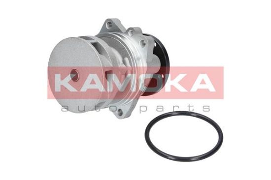 Obrázok Vodné čerpadlo, chladenie motora KAMOKA  T0059