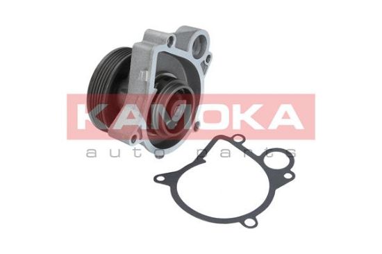 Obrázok Vodné čerpadlo, chladenie motora KAMOKA  T0061