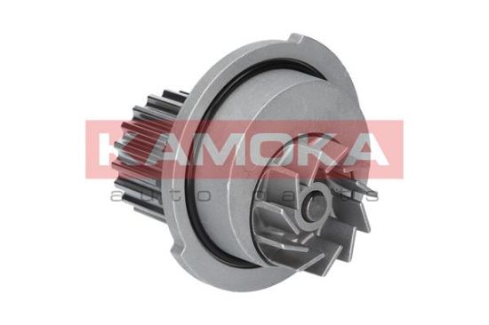 Obrázok Vodné čerpadlo, chladenie motora KAMOKA  T0066