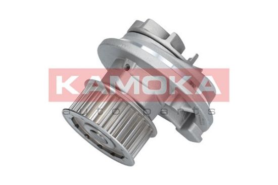 Obrázok Vodné čerpadlo, chladenie motora KAMOKA  T0069