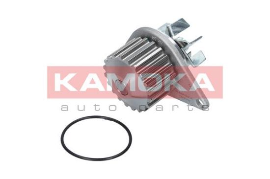 Obrázok Vodné čerpadlo, chladenie motora KAMOKA  T0078
