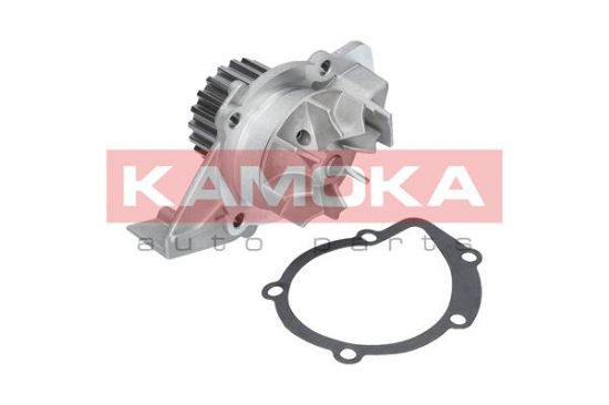 Obrázok Vodné čerpadlo, chladenie motora KAMOKA  T0086