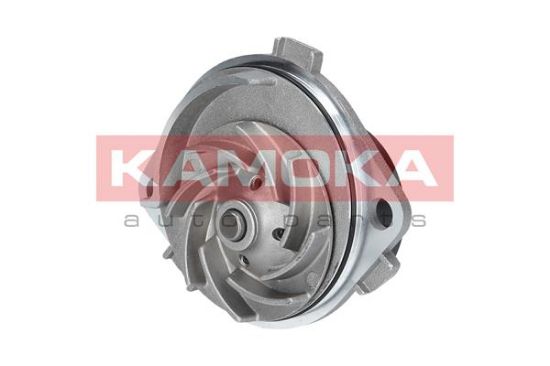 Obrázok Vodné čerpadlo, chladenie motora KAMOKA  T0111