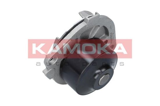 Obrázok Vodné čerpadlo, chladenie motora KAMOKA  T0113