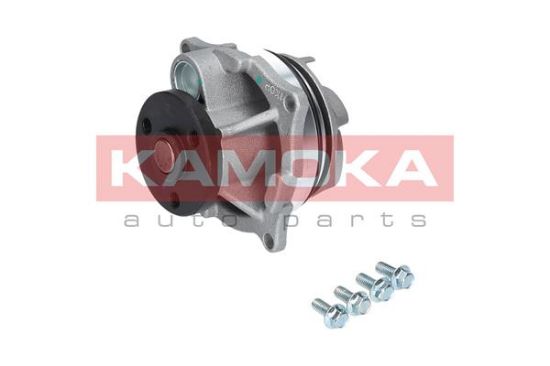 Obrázok Vodné čerpadlo, chladenie motora KAMOKA  T0129