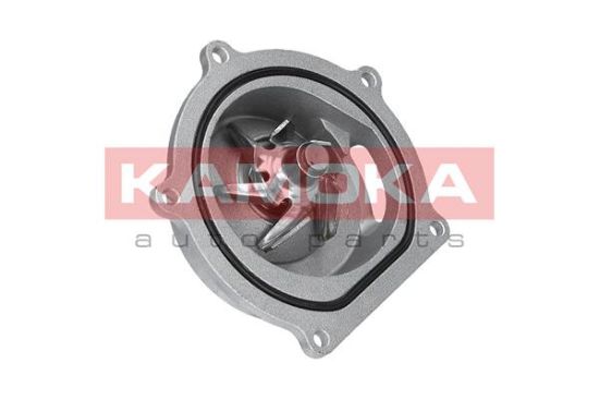 Obrázok Vodné čerpadlo, chladenie motora KAMOKA  T0145