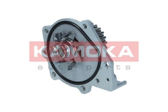 Obrázok Vodné čerpadlo, chladenie motora KAMOKA  T0174