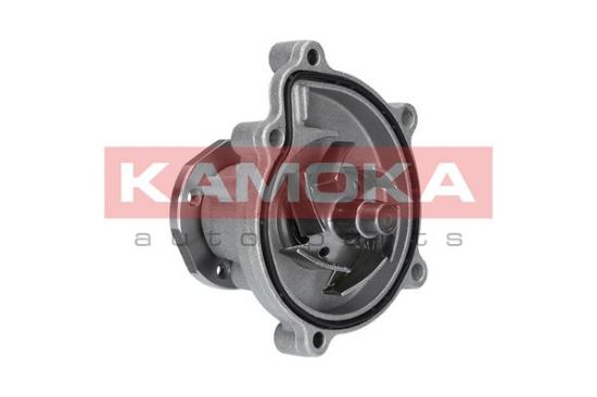 Obrázok Vodné čerpadlo, chladenie motora KAMOKA  T0182