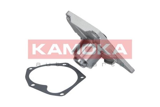 Obrázok Vodné čerpadlo, chladenie motora KAMOKA  T0214