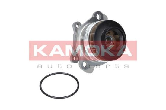 Obrázok Vodné čerpadlo, chladenie motora KAMOKA  T0222