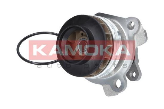 Obrázok Vodné čerpadlo, chladenie motora KAMOKA  T0222