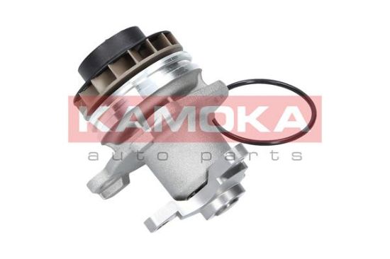 Obrázok Vodné čerpadlo, chladenie motora KAMOKA  T0222