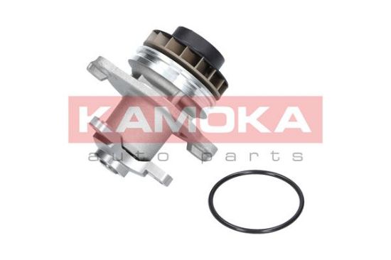 Obrázok Vodné čerpadlo, chladenie motora KAMOKA  T0222