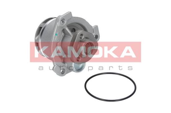 Obrázok Vodné čerpadlo, chladenie motora KAMOKA  T0234