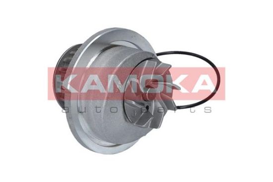 Obrázok Vodné čerpadlo, chladenie motora KAMOKA  T0235