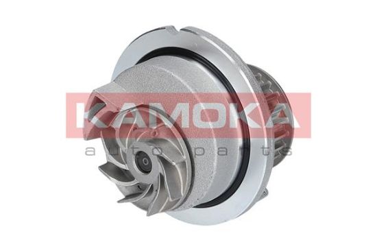 Obrázok Vodné čerpadlo, chladenie motora KAMOKA  T0236