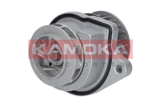 Obrázok Vodné čerpadlo, chladenie motora KAMOKA  T0248