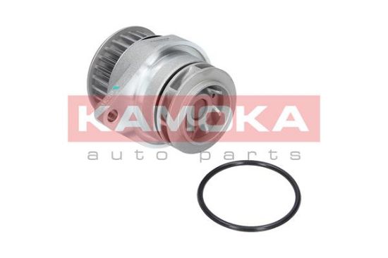 Obrázok Vodné čerpadlo, chladenie motora KAMOKA  T0249