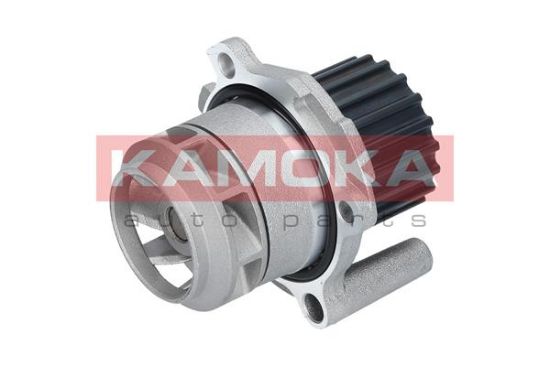 Obrázok Vodné čerpadlo, chladenie motora KAMOKA  T0251