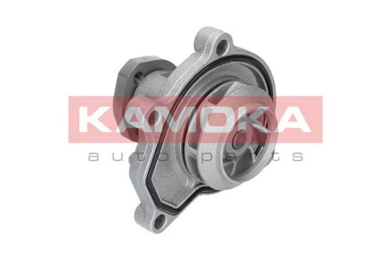 Obrázok Vodné čerpadlo, chladenie motora KAMOKA  T0252